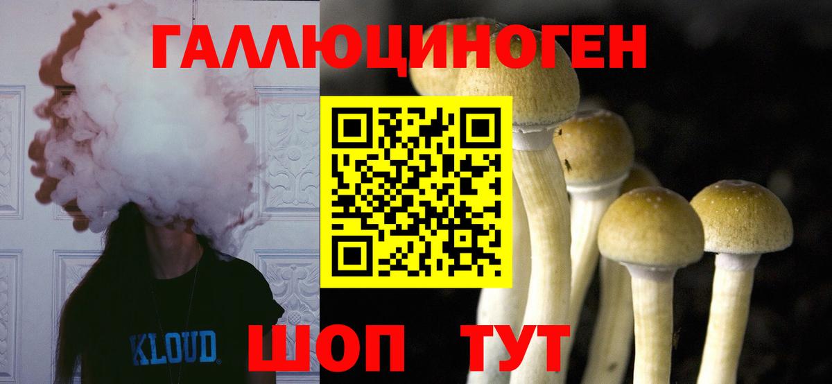 Скопин  Галлюциногенные грибы MAGIC MUSHROOMS  Вход с VPN 
